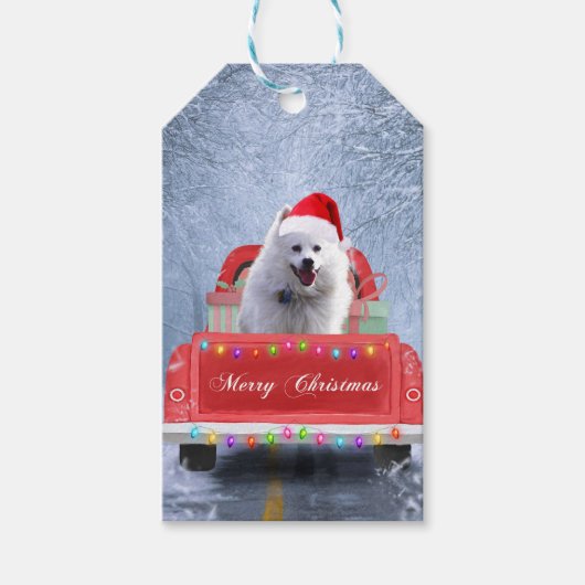 American Eskimo Dog in Snow, met Kerstmis als kers Cadeaulabel (Voorkant)