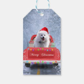 American Eskimo Dog in Snow, met Kerstmis als kers Cadeaulabel (Achterkant)