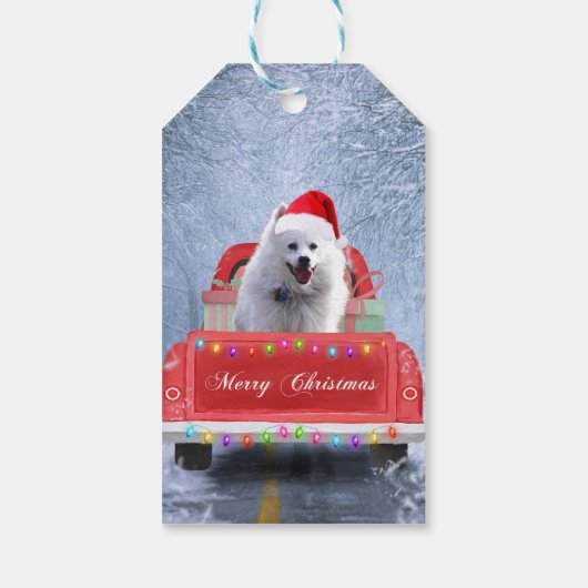 American Eskimo Dog in Snow, met Kerstmis als kers Cadeaulabel (Achterkant)