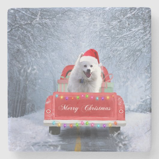 American Eskimo Dog in Snow, met Kerstmis als kers Stenen Onderzetter (Voorkant)