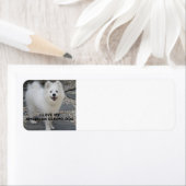 American_Eskimo_Dog_love w pic Etiket (Insitu)