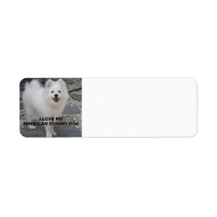 American_Eskimo_Dog_love w pic Etiket