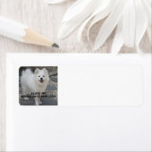 American_Eskimo_Dog_love w pic Etiket (Insitu)