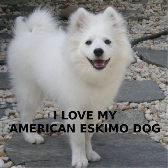 American_Eskimo_Dog_love w pic Fotobeeldje Sleutelhanger (Voorkant)