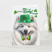 American Eskimo Dog Lucky St Patrick's Day Feestdagen Kaart (Voorkant)