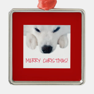 American Eskimo Dog Ornament/Spitz Dog Ornament