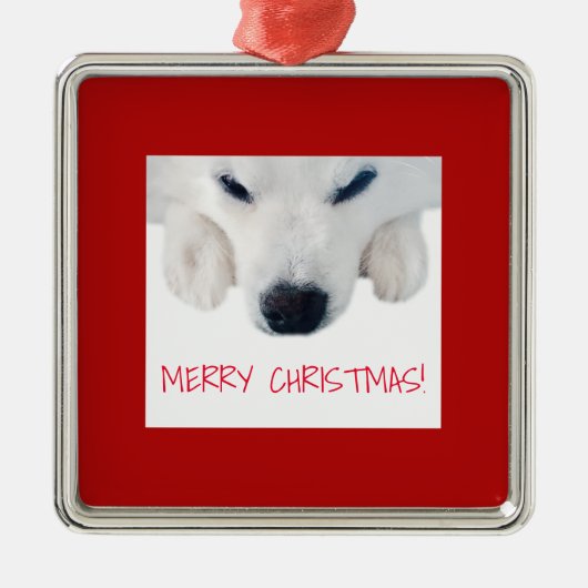 American Eskimo Dog Ornament/Spitz Dog Ornament (Voorkant)