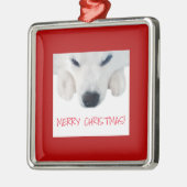 American Eskimo Dog Ornament/Spitz Dog Ornament (Links)