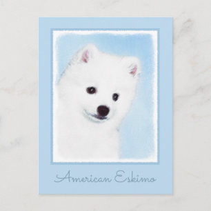 American Eskimo Dog Painting - Original Dog Art Briefkaart