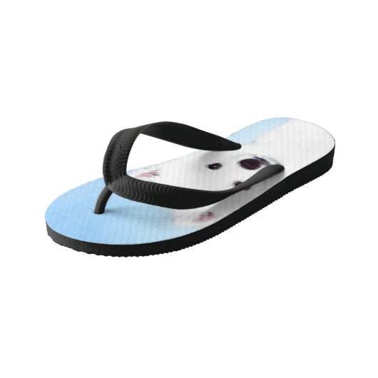 American Eskimo Dog Painting - Original Dog Art Kinder Teenslippers (Schuin)