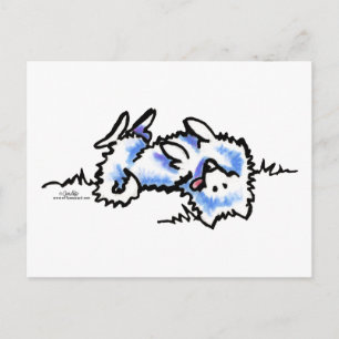 American Eskimo Dog Play Dead Briefkaart