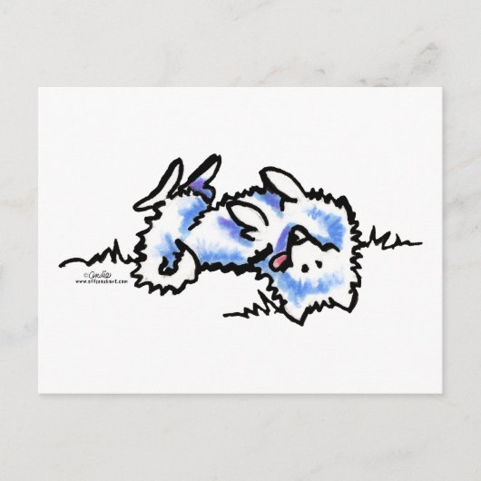 American Eskimo Dog Play Dead Briefkaart (Voorkant)
