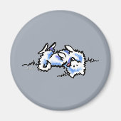 American Eskimo Dog Play Dead Magneet (Voorkant)