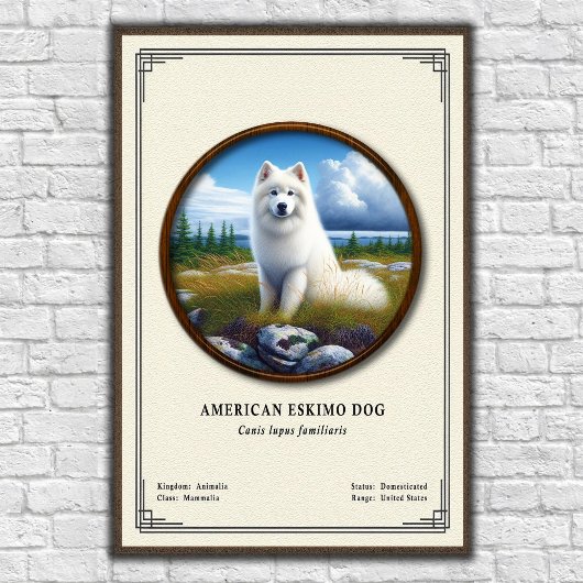 American Eskimo Dog Zoology Series Poster