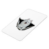 American Eskimo Lovers Magneet (Linkerzijde)