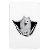 American Eskimo Lovers Magneet (Verticaal)