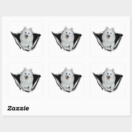 American Eskimo Lovers Vierkante Sticker (Vel)