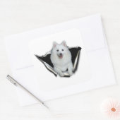 American Eskimo Lovers Vierkante Sticker (Envelop)