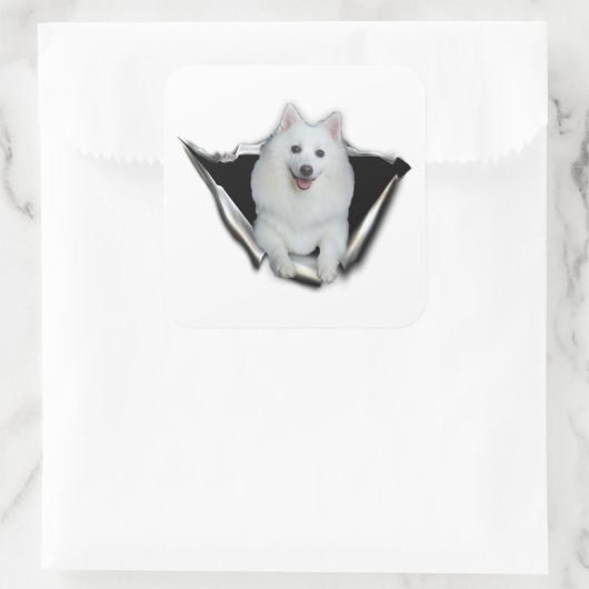American Eskimo Lovers Vierkante Sticker (Tas)