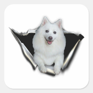 American Eskimo Lovers Vierkante Sticker