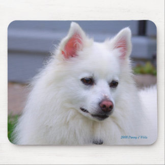 American Eskimo Mousepad Muismat