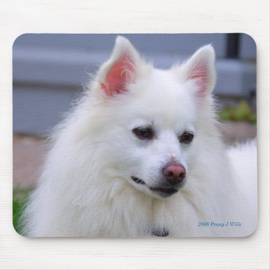 American Eskimo Mousepad Muismat (Voorkant)