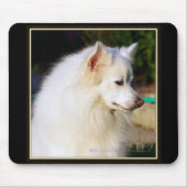 American Eskimo Mousepad Muismat (Voorkant)