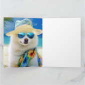 American Eskimo op Beach, zomercadeau voor hondenl Kaart (Binnen)