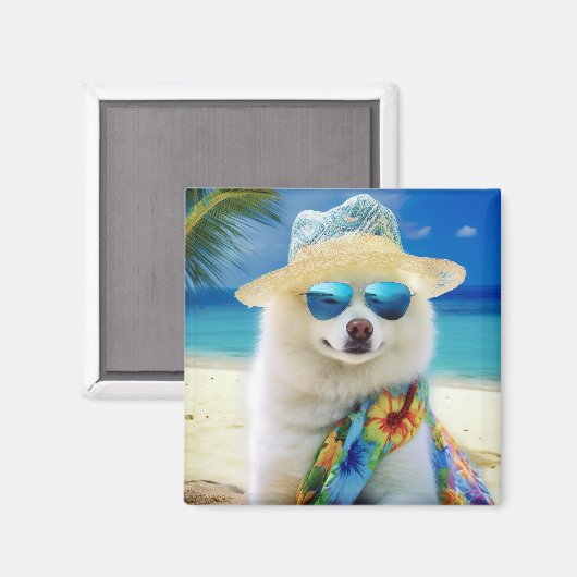 American Eskimo op Beach, zomercadeau voor hondenl Magneet (Voorkant / Achterkant)