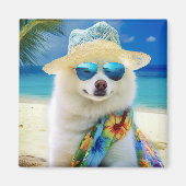 American Eskimo op Beach, zomercadeau voor hondenl Magneet (Voorkant)