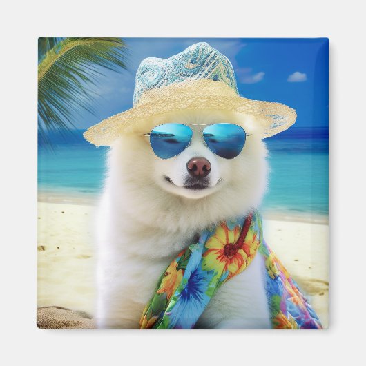 American Eskimo op Beach, zomercadeau voor hondenl Magneet (Voorkant)