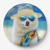 American Eskimo op Beach, zomercadeau voor hondenl Papieren Bordje (Voorkant)