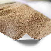 American Eskimo op Beach, zomercadeau voor hondenl Perfect Poster (Hoek)