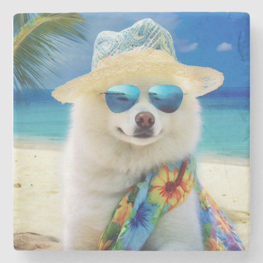 American Eskimo op Beach, zomercadeau voor hondenl Stenen Onderzetter (Voorkant)