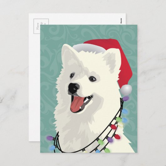 American Eskimo Samoyed Cute Puppy Dog Kerstmis Feestdagenkaart (Voorkant / Achterkant)