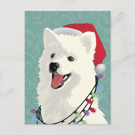 American Eskimo Samoyed Cute Puppy Dog Kerstmis Feestdagenkaart (Voorkant)