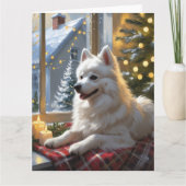 American Eskimo With Christmas Lights Holiday Kaart (Voorkant)