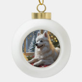 American Eskimo With Christmas Lights Holiday Keramische Bal Ornament (Voorkant)