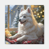American Eskimo With Christmas Lights Holiday Magneet (Voorkant)