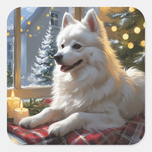 American Eskimo With Christmas Lights Holiday Vierkante Sticker (Voorkant)