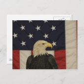 American Flag and Bald Eagle Post Card Briefkaart (Voorkant / Achterkant)