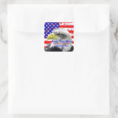 American Flag And Eagle Stickers (Tas)