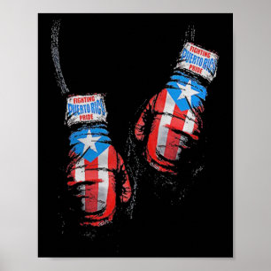American Flag Boxing USA Handschoenen Gym Boxer Fi Poster