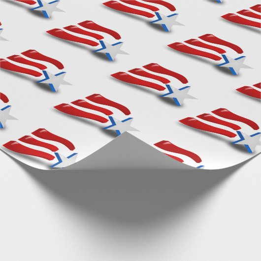 AMERICAN FLAG CADEAUPAPIER (Hoek)