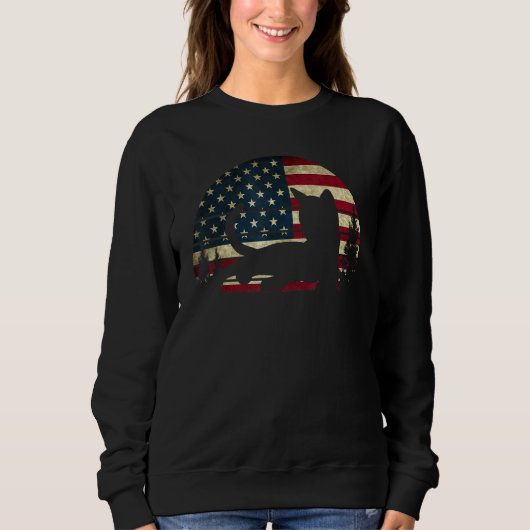 American Flag Cat Kitty Patriotic 4th Of July Kitt Trui (Voorkant)