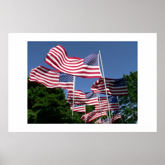 American Flag Display Poster (Voorkant)