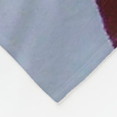 AMERICAN FLAG FLEECE DEKEN (Hoek)