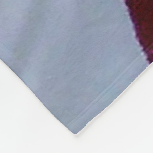 AMERICAN FLAG FLEECE DEKEN (Hoek)