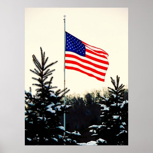 American Flag in Snow Poster (Voorkant)