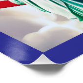 American Flag Lady Liberty Perfect Poster (Hoek)